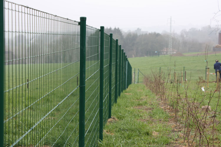 Délimitation d’un terrain grâce à une clôture à Olne