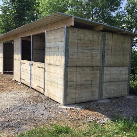 Panneau Douglas- Box pour chevaux