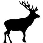 cerf2