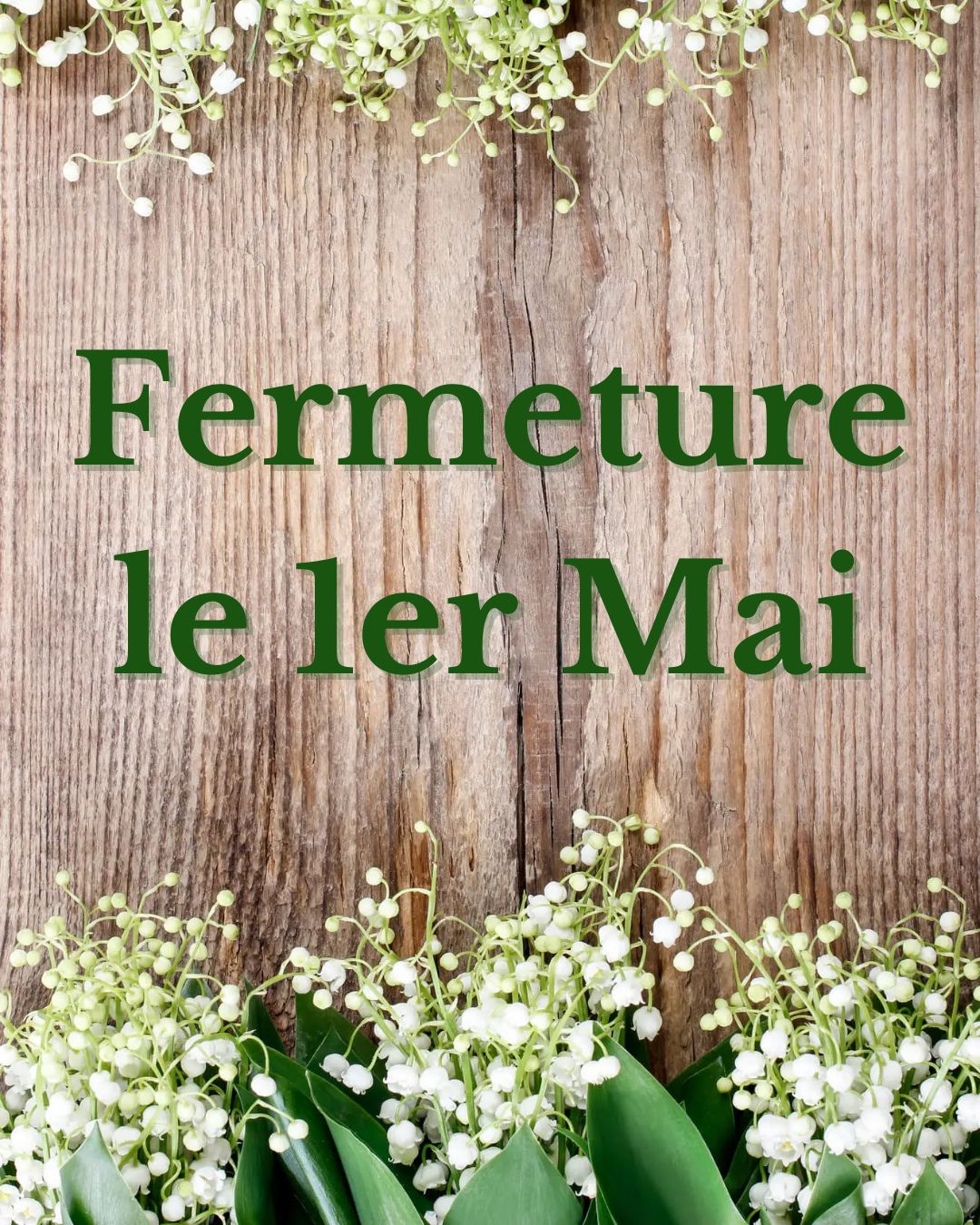 492716712 1169119145250248 6412368661650189843 n